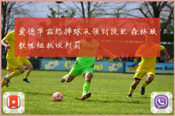 爱德华兹怒摔球衣领到技犯 森林狼教练组抗议判罚